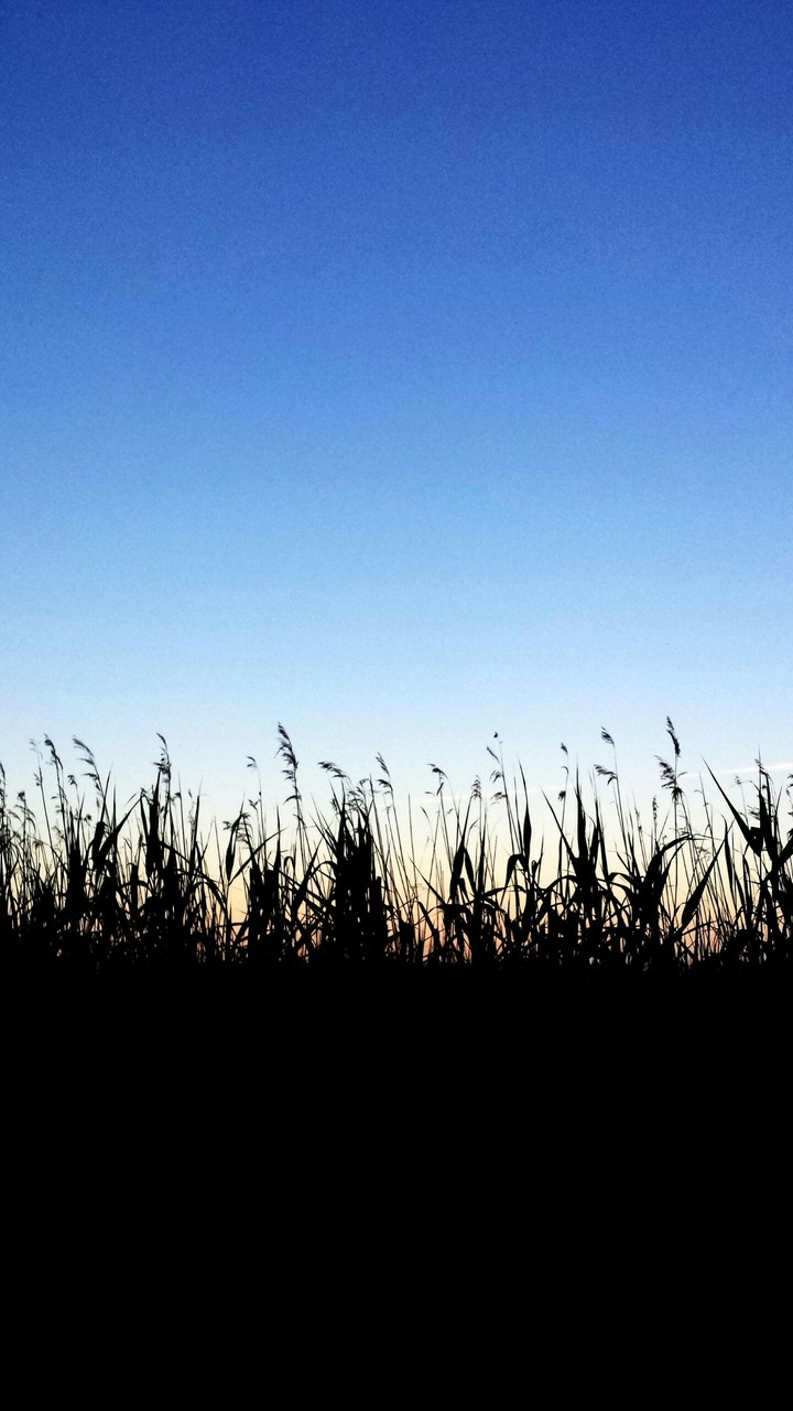 Sun goes down