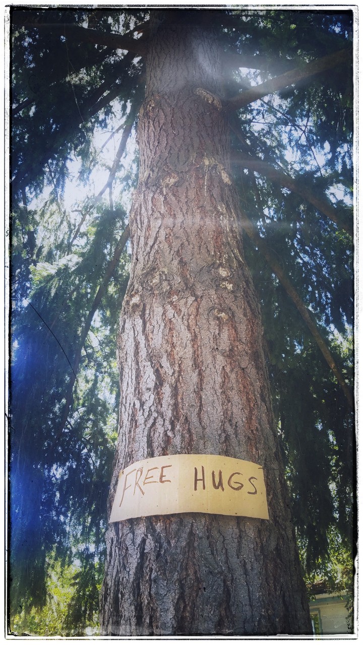 Free Hugs