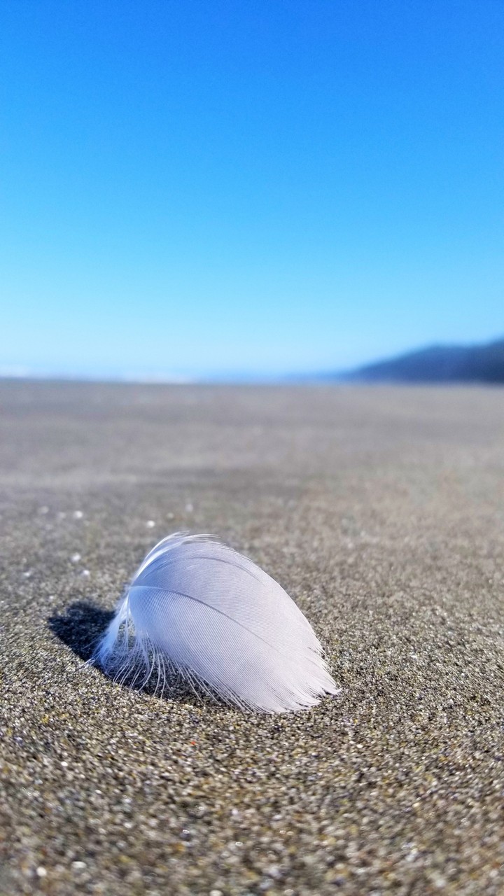 beach day
