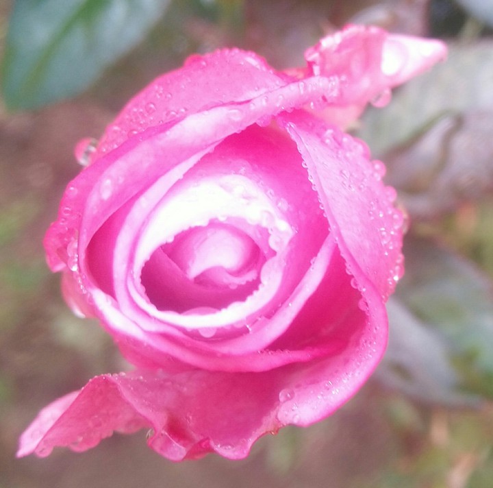 waterdroplets