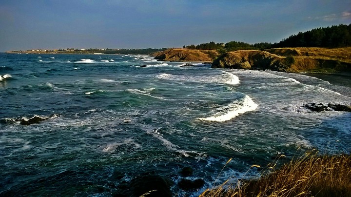 Shore