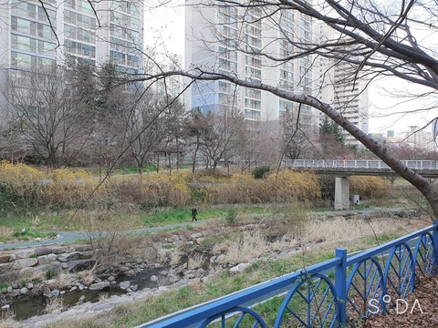 spring lake