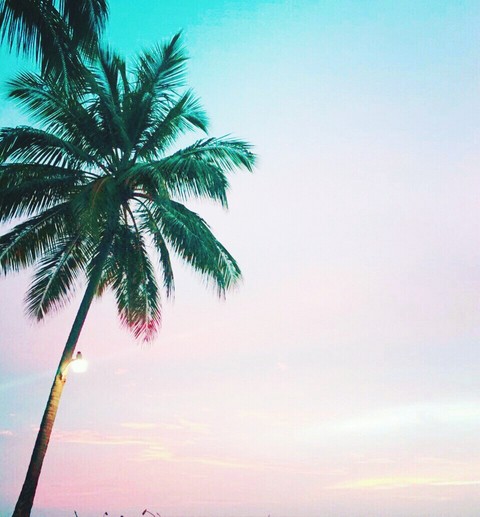 shinning horizon || sunset