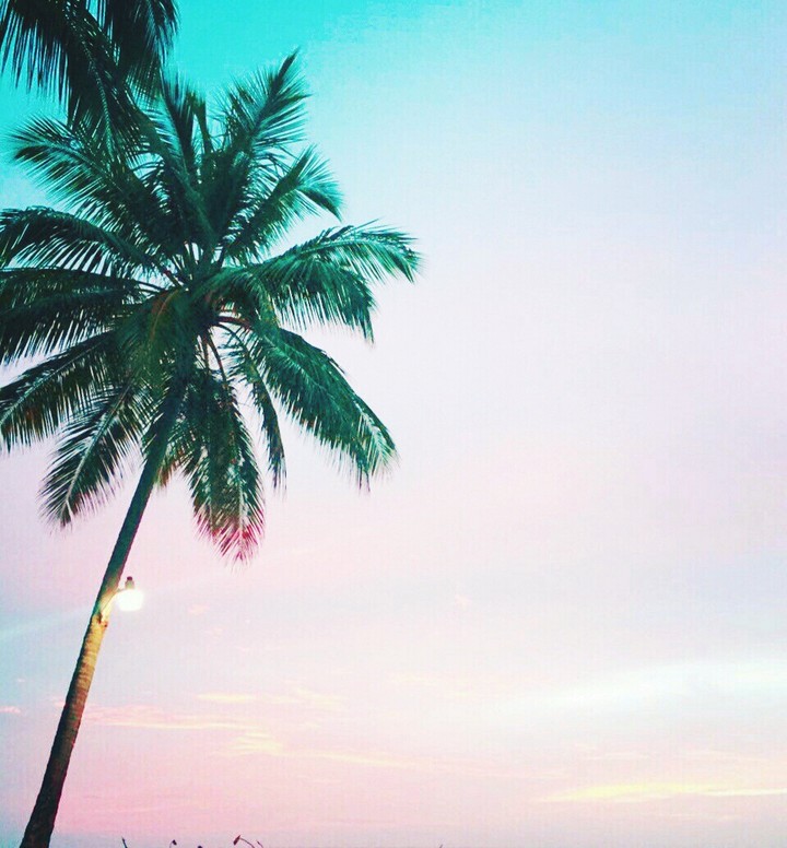 shinning horizon || sunset