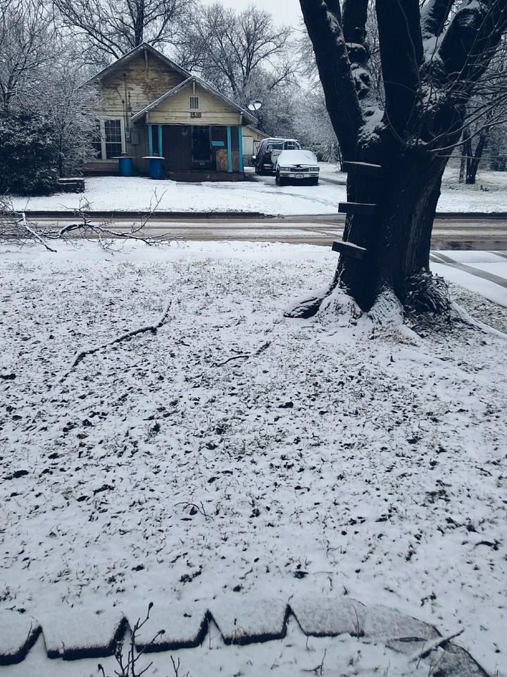 Snow Day