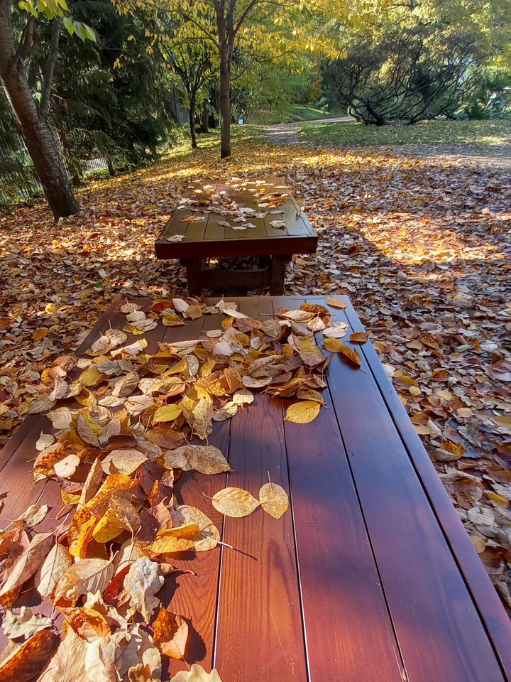 Defoliation