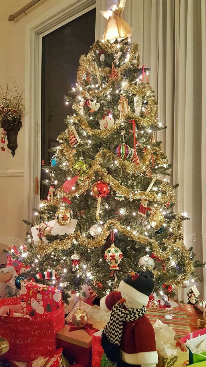 Christmas Tree From Florida