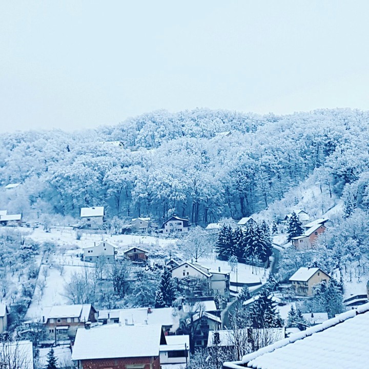 Winter