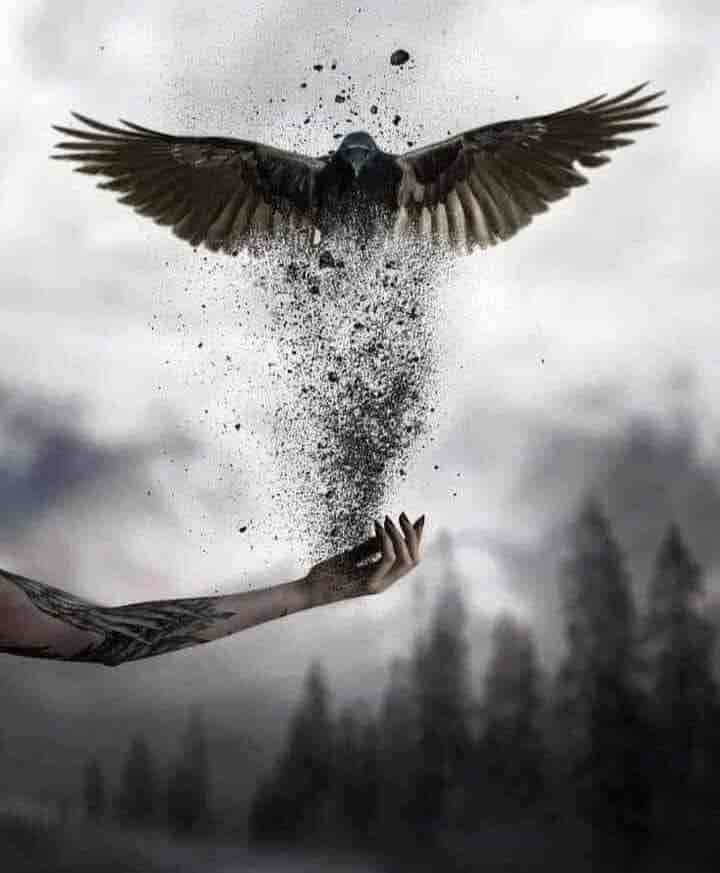 Fénix