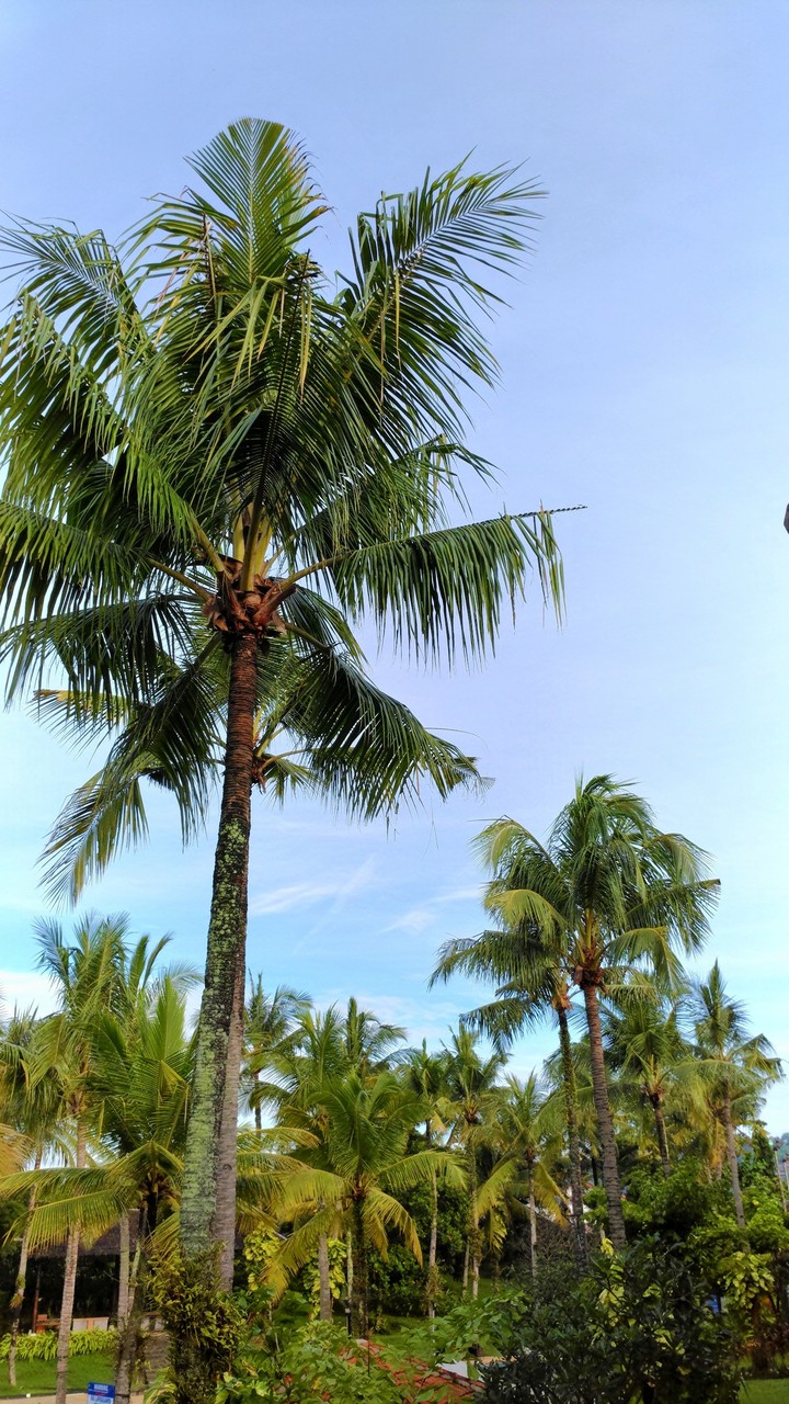 Indonesia
