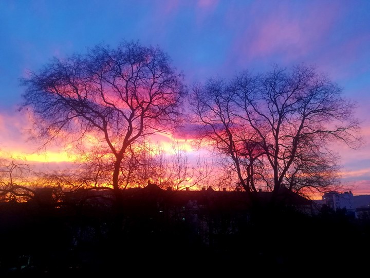 Sky