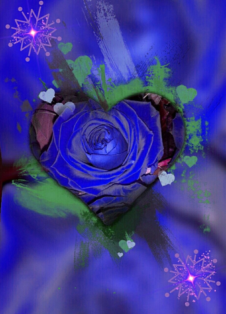Who love roses , it for you