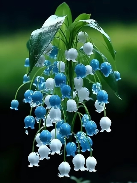 liquid, plant वॉलपेपर
