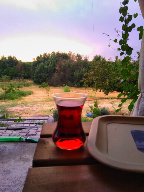 çay ve yağmur