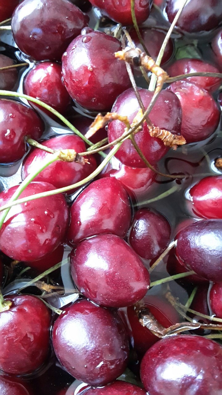 گیلاس ایرانی