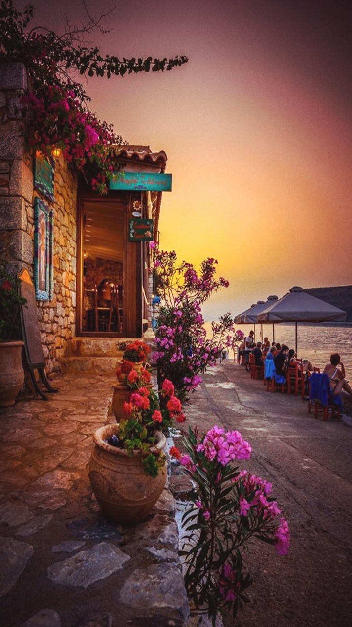 beach garden