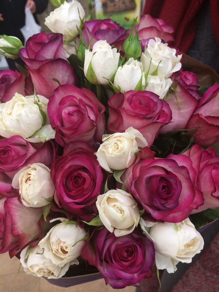 Flowers