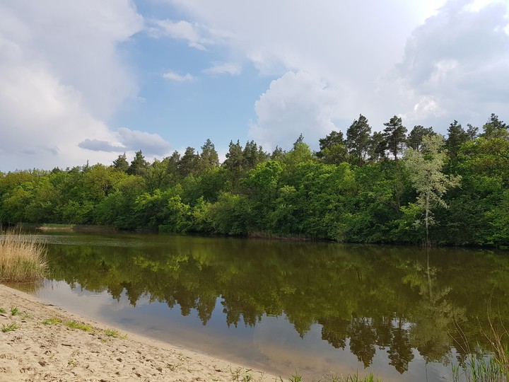 Природная картина