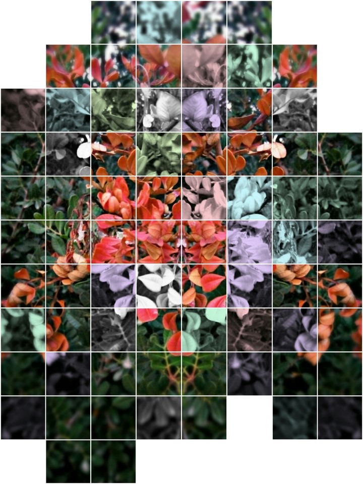 pixel