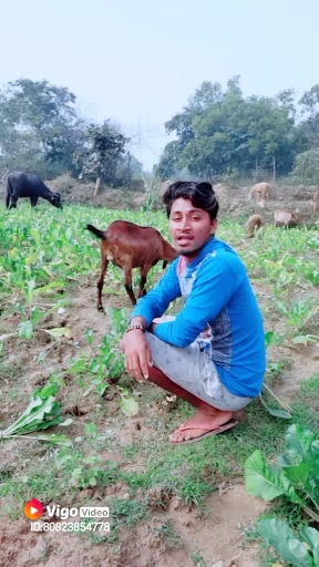 kisan ki video hai