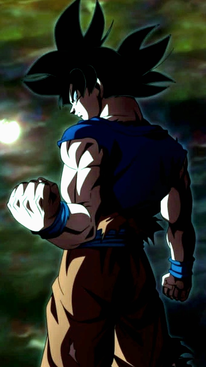 ULTRA INSTINCTS