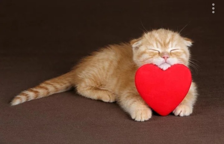 I love u