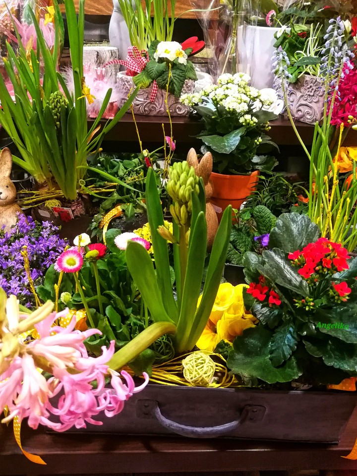 Blumen im Shop