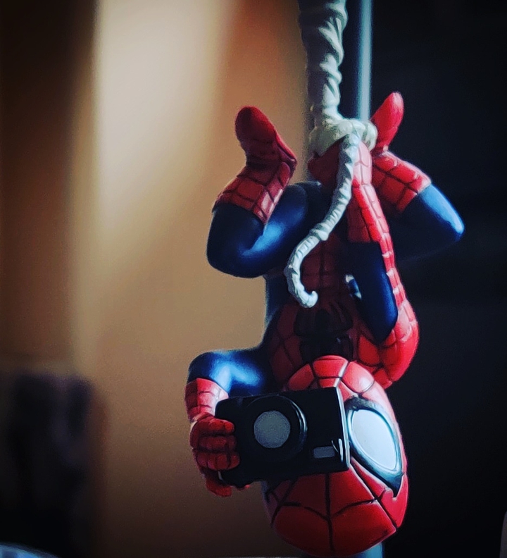spidy