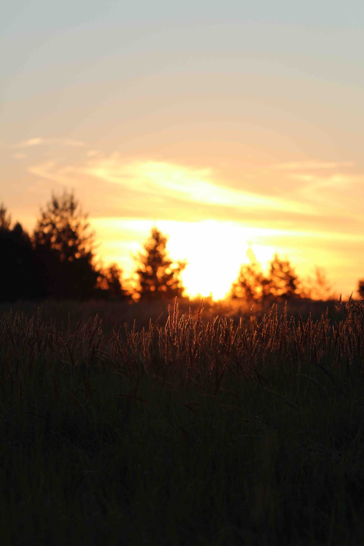 Rising of the sun