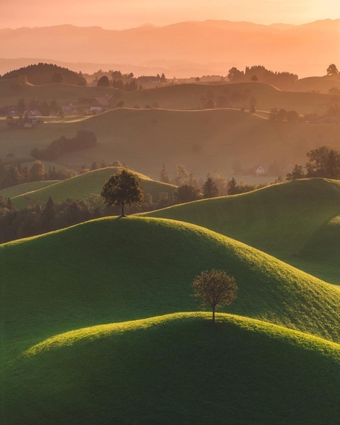 Nature Photography