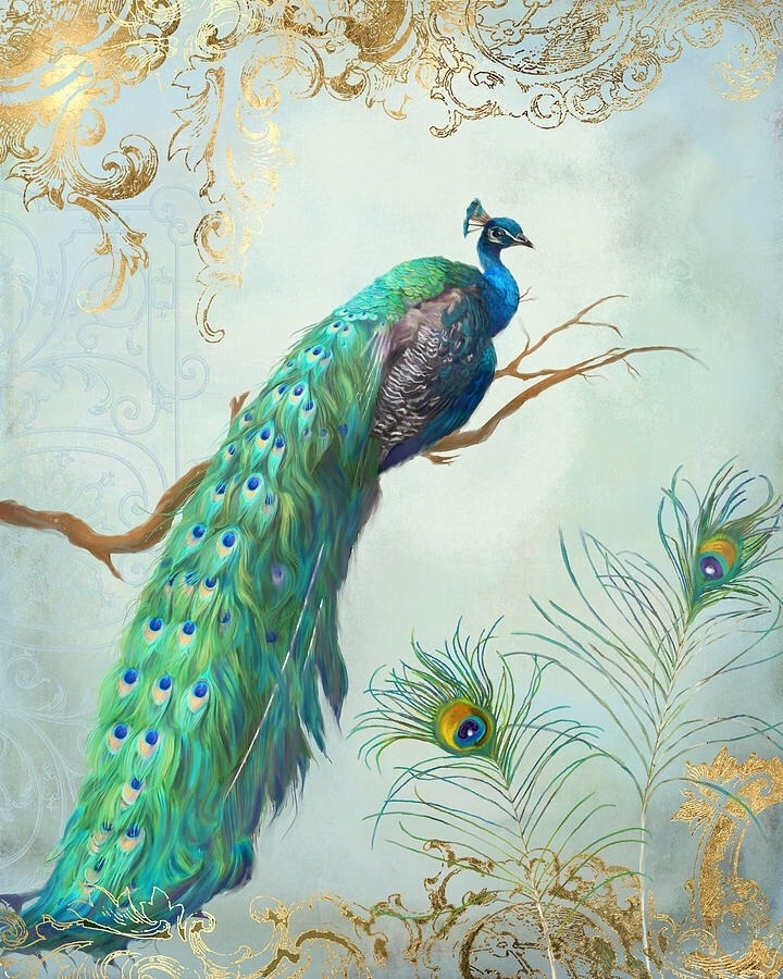 peacock ❤️