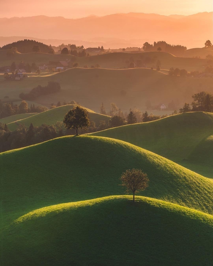 Nature Photography