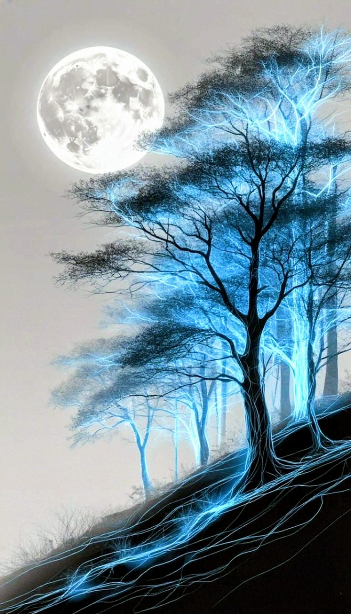 тапети moonlight, plant