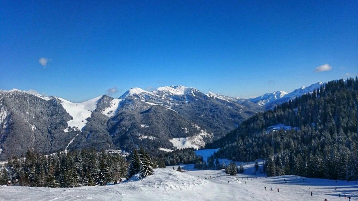 Mountain