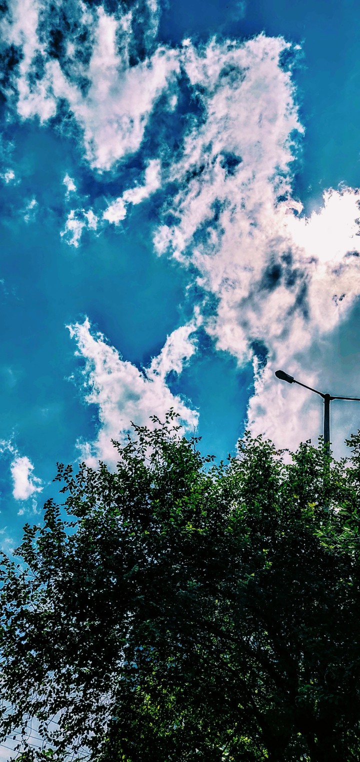 Nature at its best