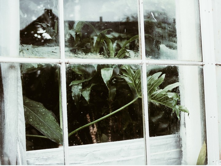 botanical