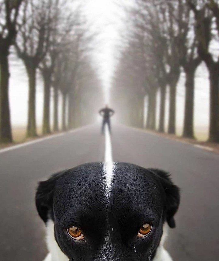 Doggie :)