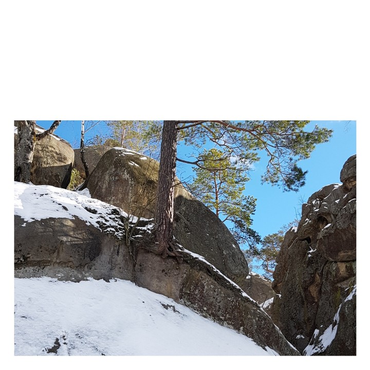 Dovbush rocks