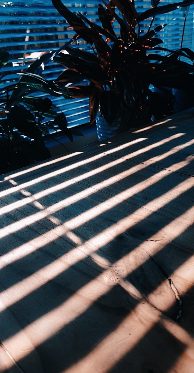 the sun and it's shadow