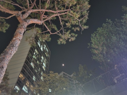branch, world háttérképek