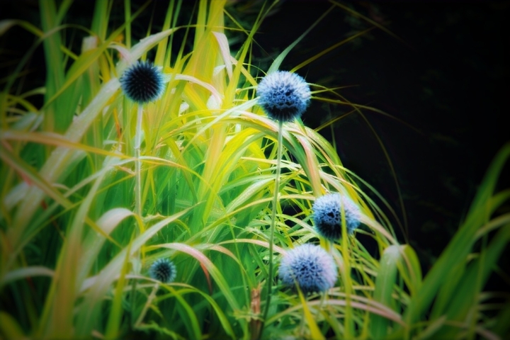 Freshness