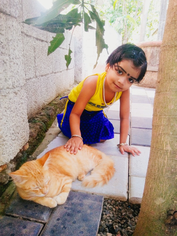 Baby cat