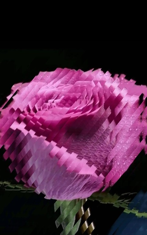 papéis de parede rose, dekor