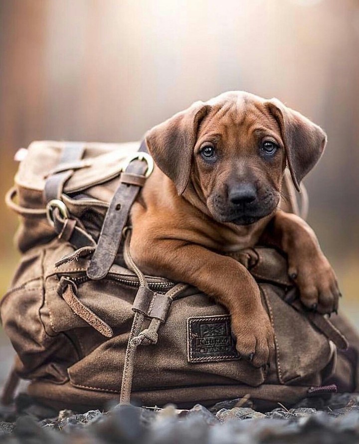 ❤☺❤