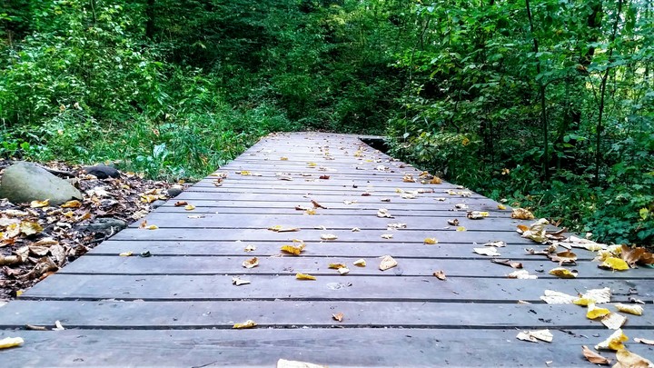the path
