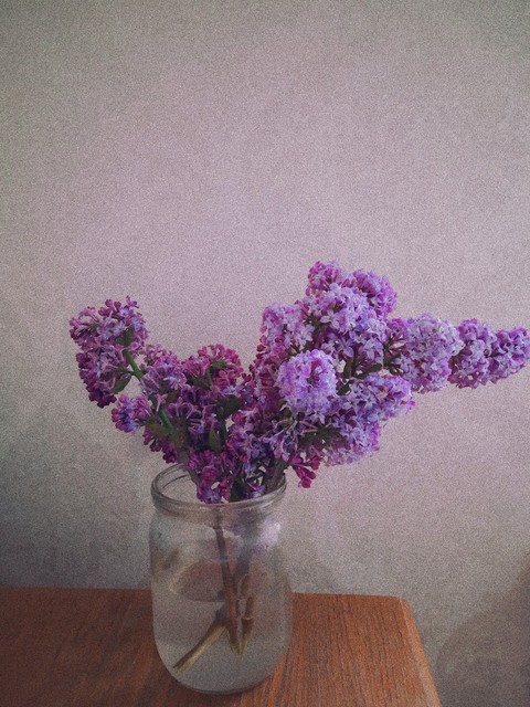feel the smell