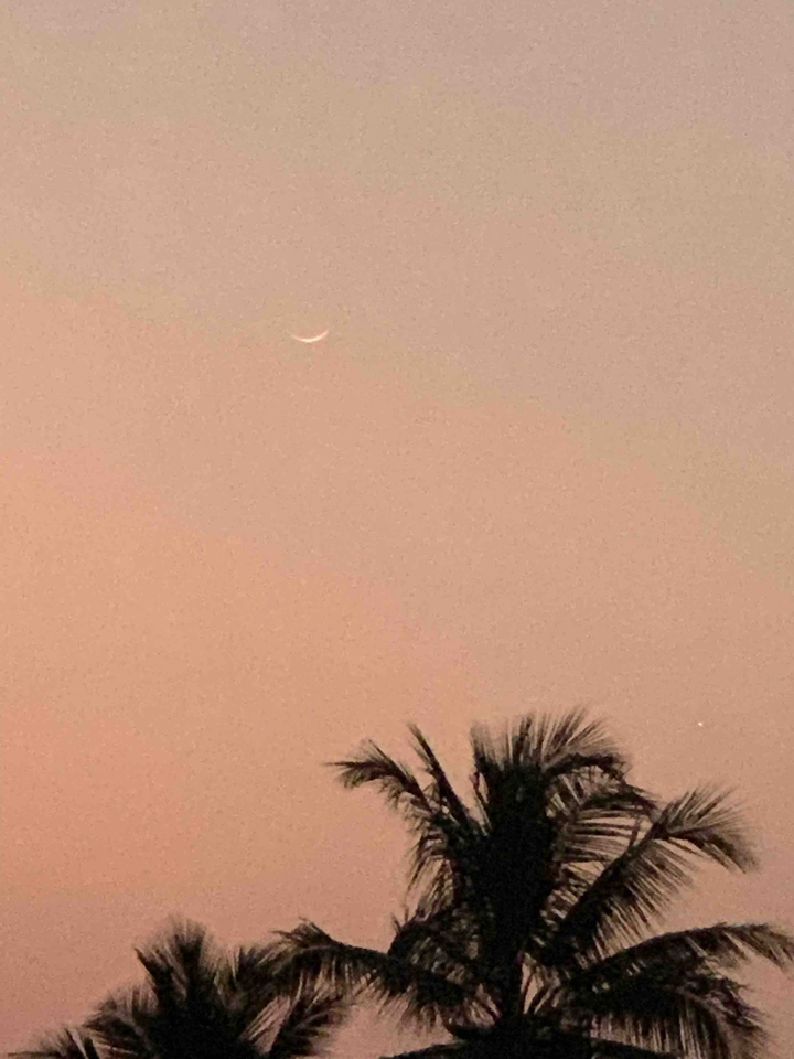 beautiful crescent moon