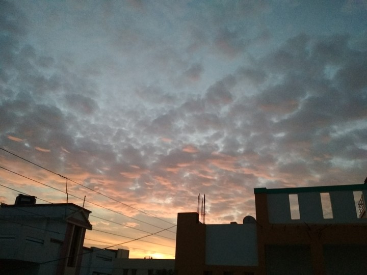 sunshine