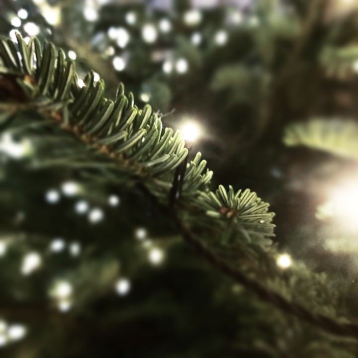 The tree