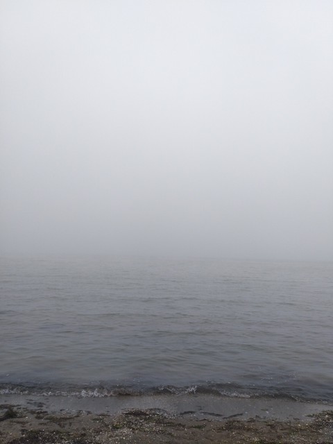 sea.
